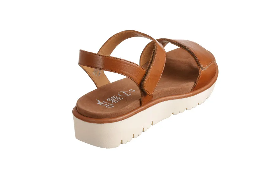 Ara Splice Brown
