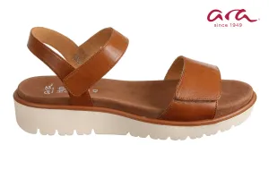 Ara Splice Brown