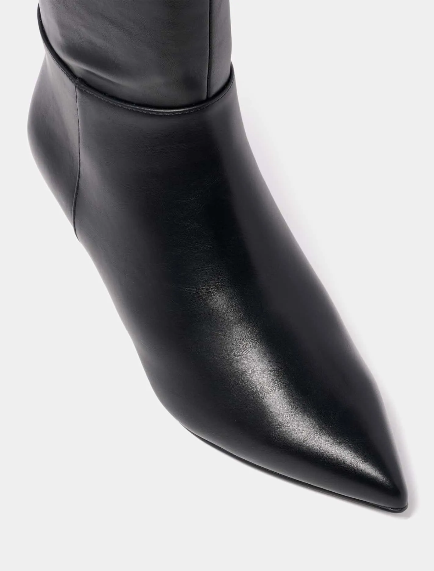 Sasha Pointy Toe Knee Boot