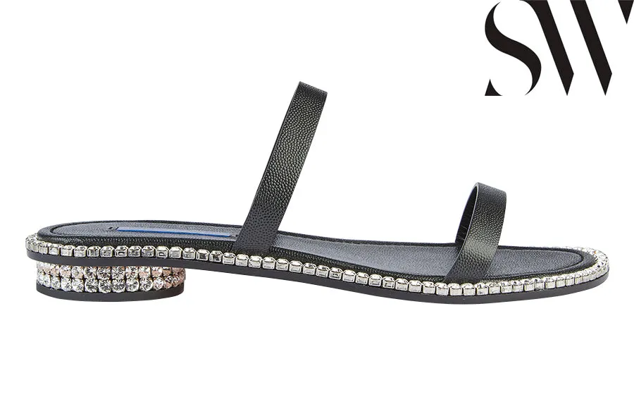 Sw Coquina Black