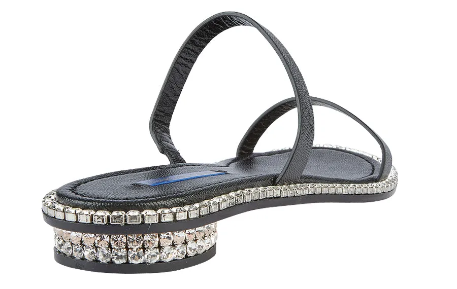 Sw Coquina Black